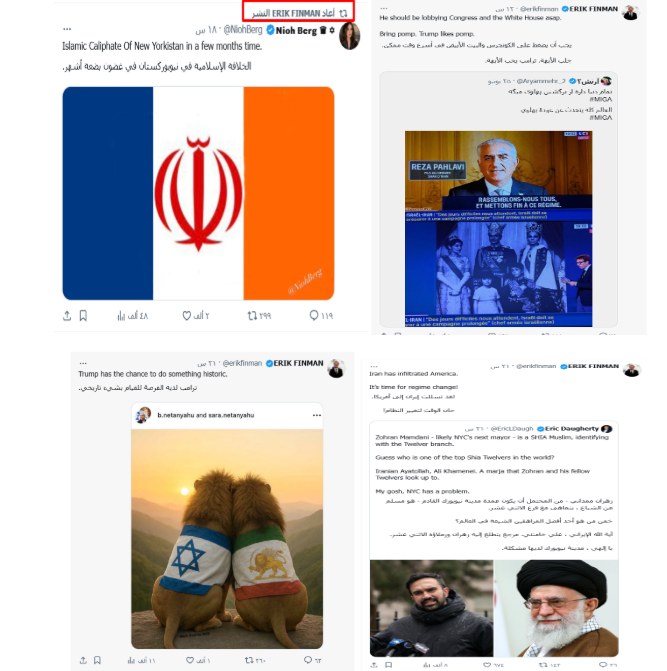 نماذج من منشورات وتفاعلات رصدها التحقيق على حساب إريك فينمان وحسابات مرتبطة بشبكة الترويج؛ تجمع بين دعم رضا بهلوي، مهاجمة النظام الإيراني، وتوظيف رمزية الأسد لربط إسرائيل بالعلم الملكي الإيراني.
